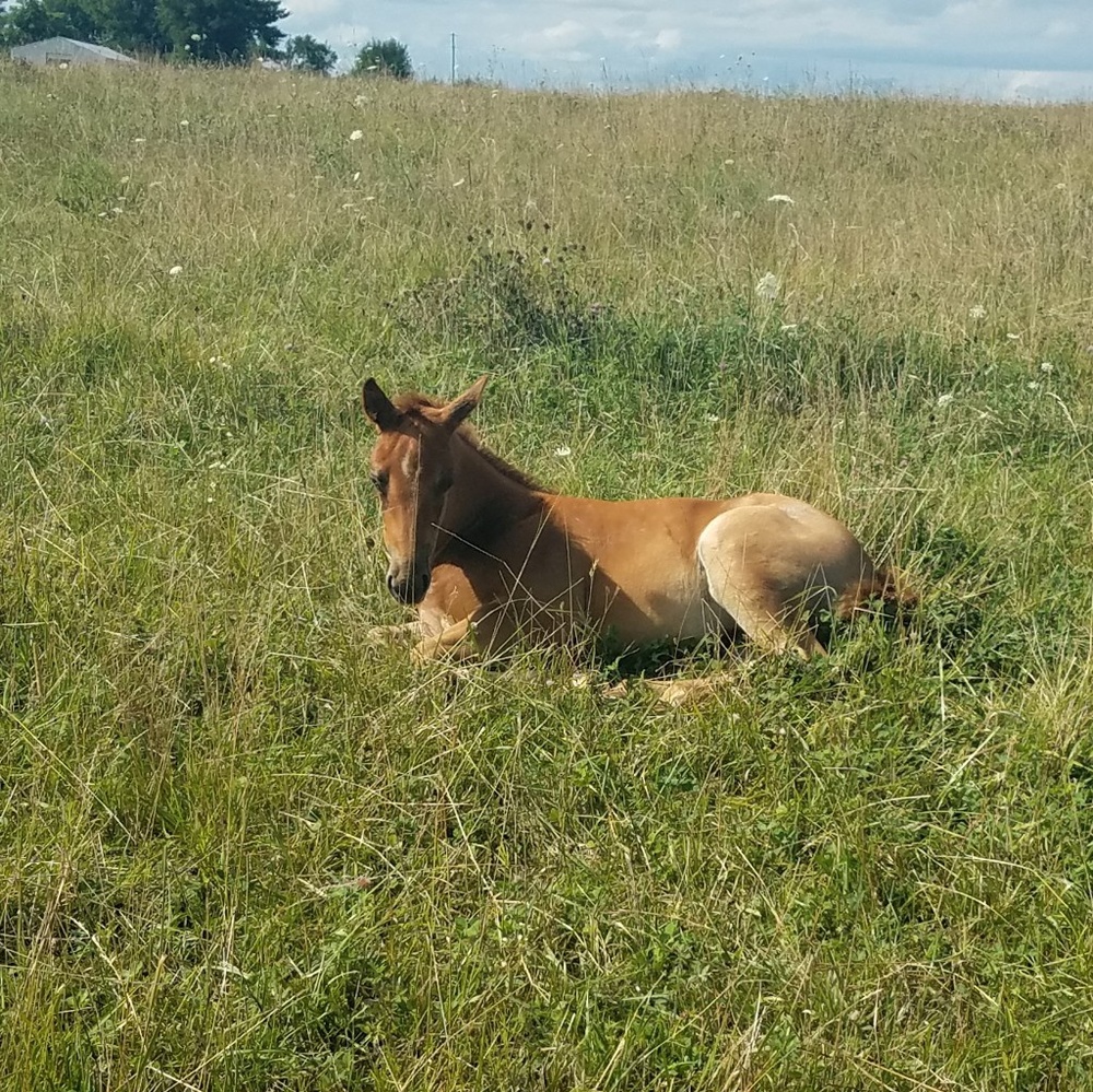 Meet your Posher, Tiffany